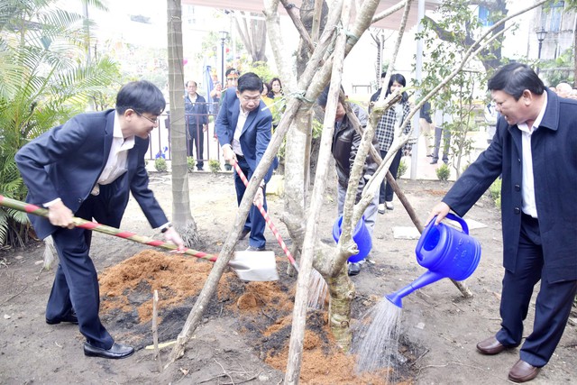 Tết trồng cây Xuân Quý Mão 2023: Đà Nẵng khuyến khích xanh hóa các đơn vị - Ảnh 1.