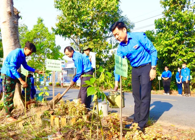 Đoàn viên, thanh niên Hậu Giang trồng 1.000 cây kèn hồng làm đẹp môi trường - Ảnh 1.