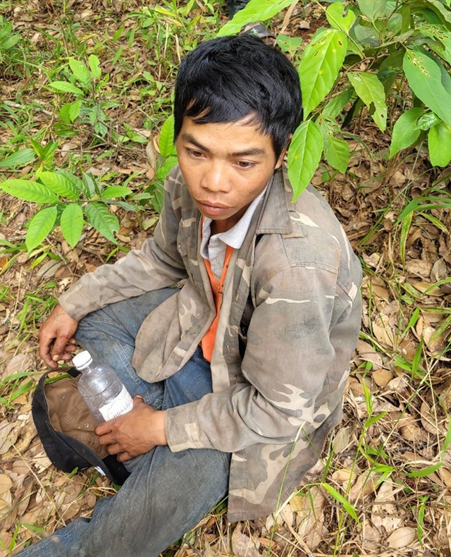 Lâm Đồng: Điều tra làm rõ các vụ phá rừng trong dịp nghỉ Tết Quý Mão - Ảnh 2.