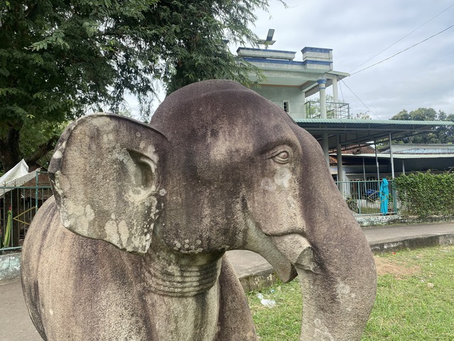 Bình Định: Hai tượng voi đá được công nhận bảo vật quốc gia - Ảnh 4.