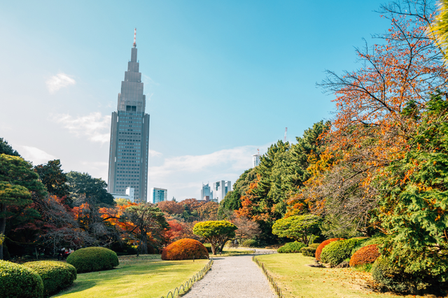 Tới Tokyo để đắm chìm trong văn hóa truyền thống và ẩm thực độc đáo - Ảnh 5.