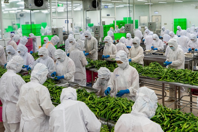 SATRA mở rộng quan hệ thương mại, học hỏi kinh nghiệm từ Nhật Bản - Ảnh 2. SATRA mở rộng quan hệ thương mại, học hỏi kinh nghiệm từ Nhật Bản - Ảnh 2.