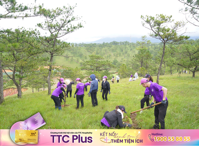 Thung lũng Tình Yêu trồng cây góp phần xanh hóa khu du lịch