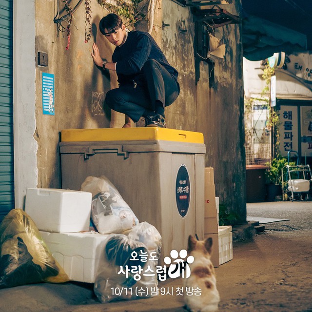 Mỹ nam Cha Eun Woo đẹp như tượng tạc trong phim 'Ngày đẹp để trở thành cún' - Ảnh 5.