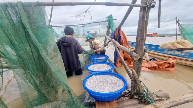 Vạn chài miền Tây trên cao nguyên - Ảnh 1.