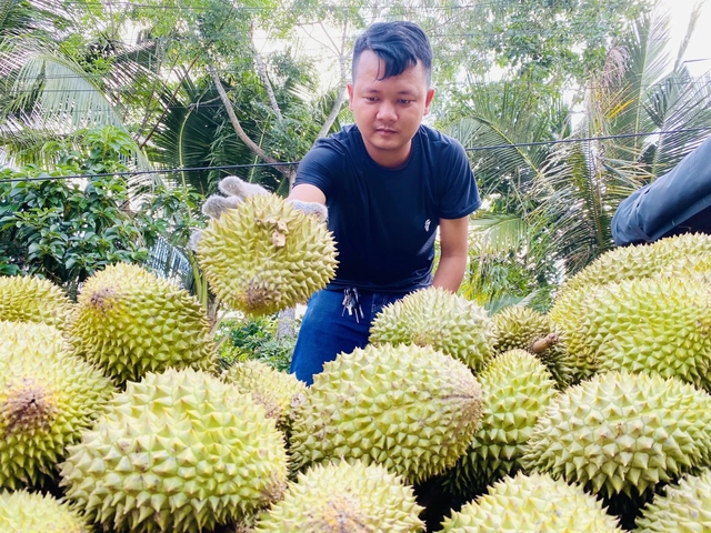 Phấn khởi khi nông sản tăng giá - Ảnh 1. Phấn khởi khi nông sản tăng giá - Ảnh 1.