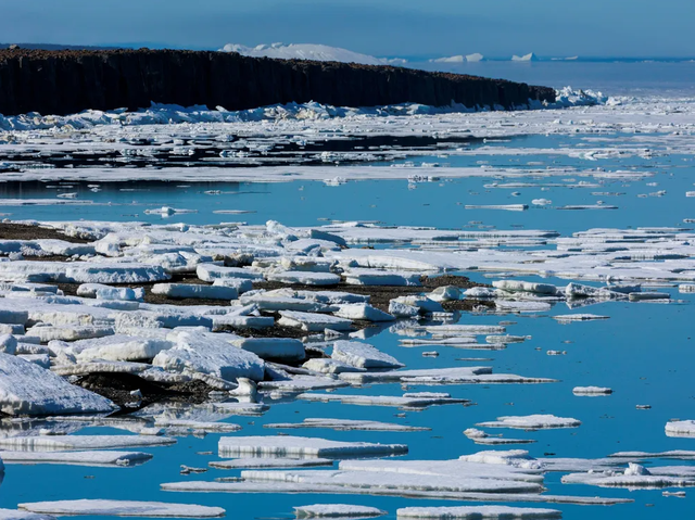 Hơn 40% số thềm băng của Nam Cực sụt giảm khối lượng trong 25 năm qua - Ảnh 1.