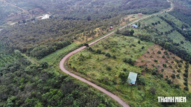 Diện tích sầu riêng tăng 3.560 ha so với năm 2022, Đắk Nông cảnh báo rủi ro - Ảnh 3.