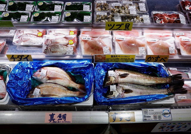 Sau Trung Quốc, Nga cấm nhập khẩu hải sản Nhật vì Tokyo xả nước nhiễm xạ - Ảnh 1.