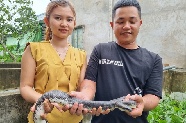 Cô gái bán vàng cưới đầu tư nuôi rắn ri cá, thu nhập gần 800 triệu đồng/năm - Ảnh 1.