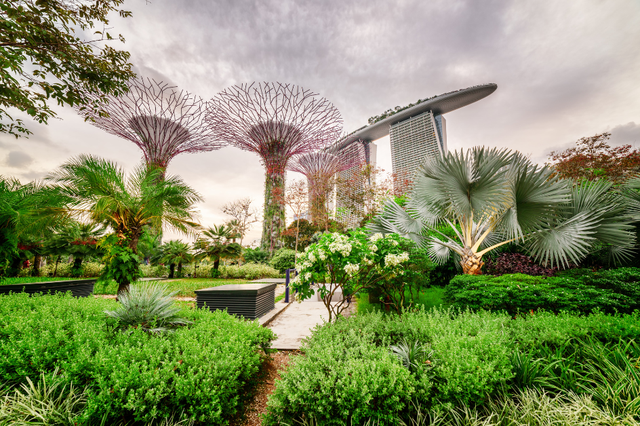 Vườn thực vật Gardens by the Bay