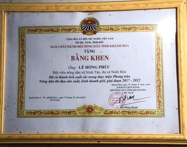 Bí thư chi bộ với mô hình nông dân sản xuất kinh doanh giỏi - Ảnh 4. Bí thư chi bộ với mô hình nông dân sản xuất kinh doanh giỏi - Ảnh 4.