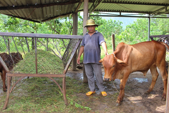 Bí thư chi bộ với mô hình nông dân sản xuất kinh doanh giỏi - Ảnh 3.