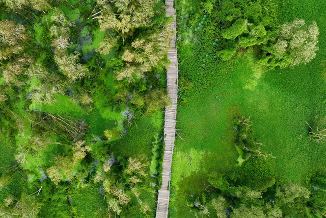 Ngắm rừng tràm Trà Sư bối cảnh trong phim 'Đất rừng phương nam' - Ảnh 9.