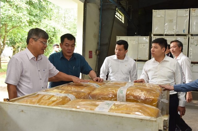 Đoàn công tác Đảng ủy Khối doanh nghiệp T.Ư thăm và làm việc tại nước CHDCND Lào - Ảnh 3.