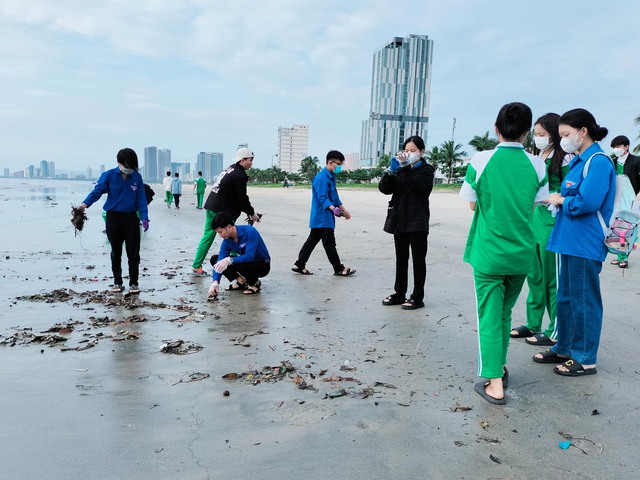 Đà Nẵng: Hàng nghìn đoàn viên thanh niên ra quân dọn bãi biển sau mưa lũ   - Ảnh 4.
