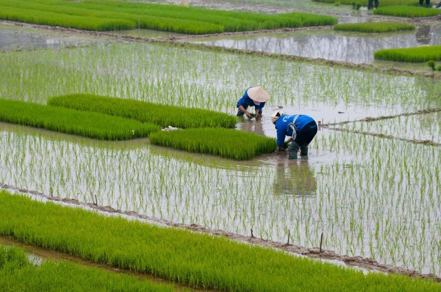 Trang bị kiến thức giúp nông dân nữ dễ ra quyết định quan trọng - Ảnh 1.