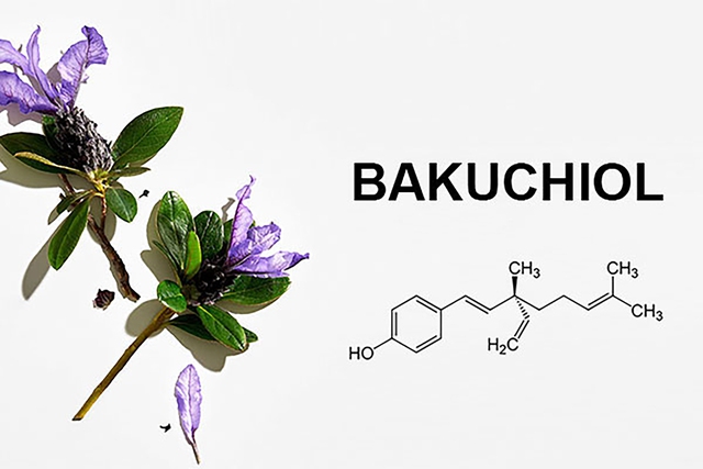 Top 3 sản phẩm chứa Bakuchiol được tìm mua hiện nay - Ảnh 2.