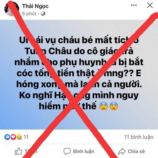 Xác minh người tung tin thất thiệt về bắt cóc trẻ em tại Hạ Long  - Ảnh 1.