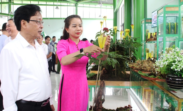 Quảng Nam yêu cầu công an vào cuộc điều tra nạn buôn bán sâm Ngọc Linh giả - Ảnh 1. Quảng Nam yêu cầu công an vào cuộc điều tra nạn buôn bán sâm Ngọc Linh giả - Ảnh 1.