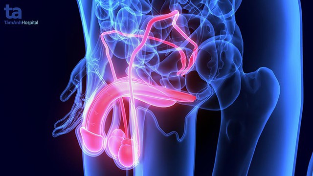 Vì sao nam giới mắc đái tháo đường dễ bị rối loạn cương? - Ảnh 1. Vì sao nam giới mắc đái tháo đường dễ bị rối loạn cương? - Ảnh 1.
