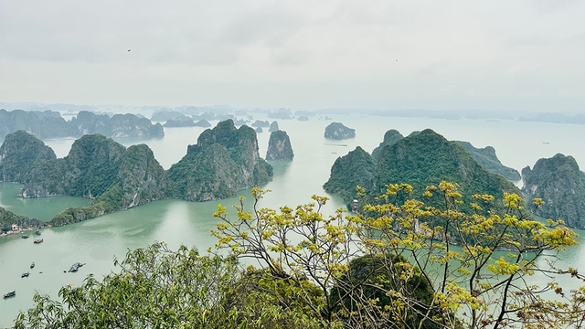 Cần đồng thuận trong quản lý di sản UNESCO liên tỉnh  vịnh Hạ Long - Ảnh 1.