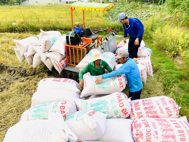 Giá gạo Việt vượt đỉnh lịch sử - Ảnh 1.