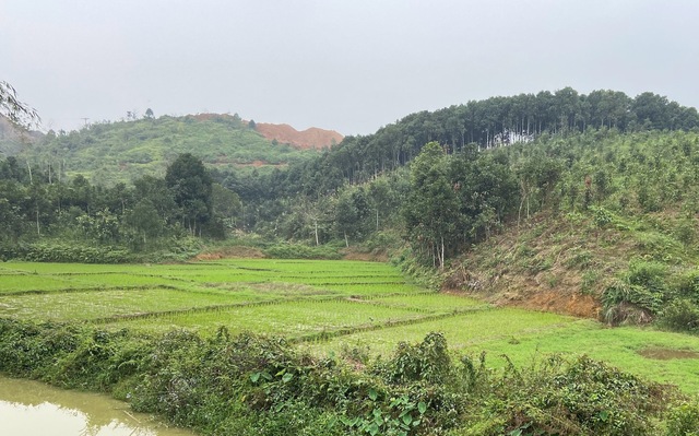 Bắt hàng loạt lãnh đạo doanh nghiệp khai thác, bán đất hiếm trái phép - Ảnh 2.