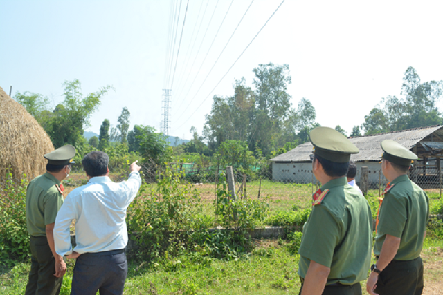 Phối hợp xử lý vi phạm hành chính trong lĩnh vực điện lực ở Bình Định - Ảnh 1.