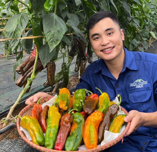 Kinh doanh thời đại số: Bán chục tấn nông sản chỉ sau vài giờ - Ảnh 1. Kinh doanh thời đại số: Bán chục tấn nông sản chỉ sau vài giờ - Ảnh 1.