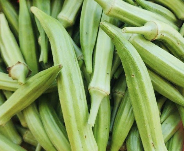 Ăn thực phẩm nhiều chất nhờn như đậu bắp, mồng tơi có giúp trị đau khớp? - Ảnh 1. Ăn thực phẩm nhiều chất nhờn như đậu bắp, mồng tơi có giúp trị đau khớp? - Ảnh 1.