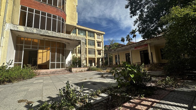 Tin tức đặc biệt trên báo in Thanh Niên 23.10.2023 - Ảnh 3. Tin tức đặc biệt trên báo in Thanh Niên 23.10.2023 - Ảnh 3.