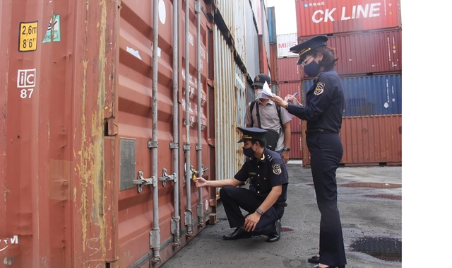 Doanh nghiệp 'bỏ quên' 10 container gỗ nhập khẩu tại cảng - Ảnh 1.