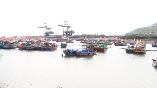 Khởi tố vụ án phản đối xây dựng cảng container Long Sơn - Ảnh 1.