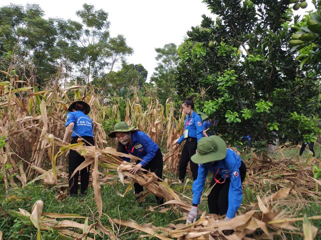 'Ăn cơm nhà vác tù và hàng tổng' - Ảnh 2. 'Ăn cơm nhà vác tù và hàng tổng' - Ảnh 2.