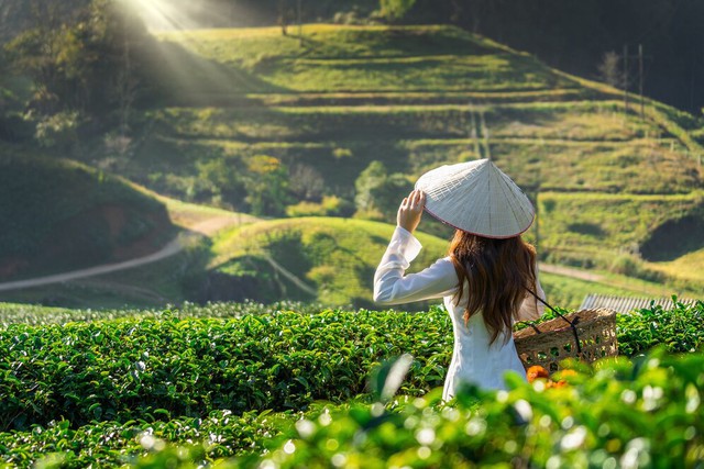 Lịch trình tham quan Đà Lạt thật thư giãn bạn nên thử  - Ảnh 3.