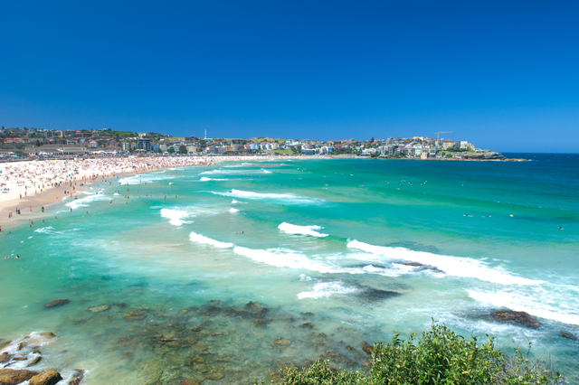 Đến với đại ngàn xanh, thành phố hiện đại và bãi biển tuyệt đẹp của Úc - Ảnh 4.