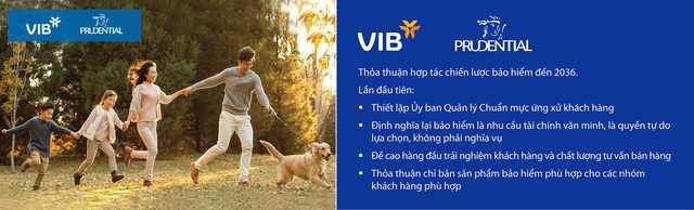 Bảo hiểm nỗ lực tăng ‘chất’ nhân sự sau khủng hoảng niềm tin - Ảnh 2.