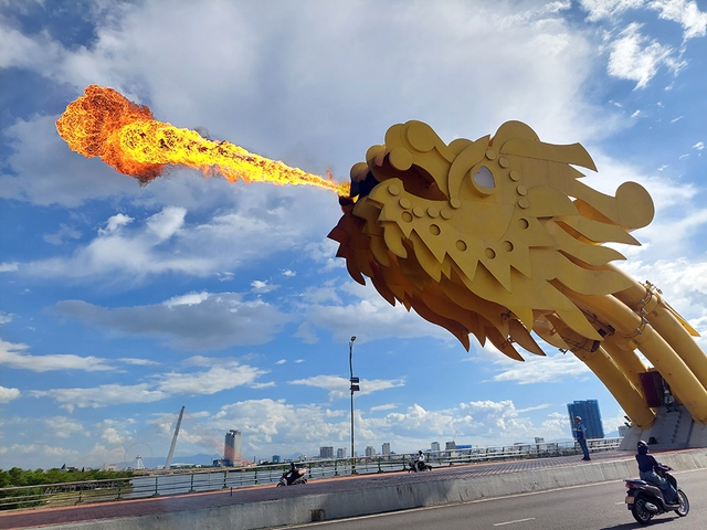 'Biệt đội' chăm sóc những cây cầu - Ảnh 1. 'Biệt đội' chăm sóc những cây cầu - Ảnh 1.