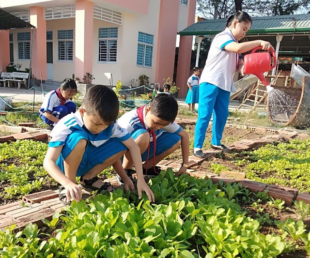 Giáo dục Mỹ: Lao động và văn hóa môi trường - Ảnh 2. Giáo dục Mỹ: Lao động và văn hóa môi trường - Ảnh 2.
