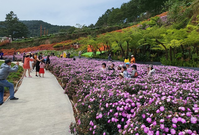 Lâm Đồng sẽ trở thành 'Thiên đường xanh' vào năm 2030 - Ảnh 4.