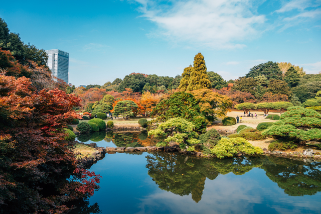 Thành phố Tokyo hiện đại - hòn ngọc phương Đông - Ảnh 3.