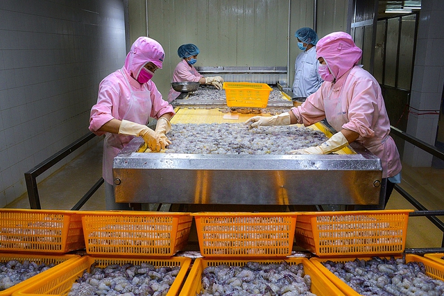 Cà Mau: Xin điều chỉnh tổ chức lễ hội tôm sớm hơn kế hoạch 3 ngày - Ảnh 1. Cà Mau: Xin điều chỉnh tổ chức lễ hội tôm sớm hơn kế hoạch 3 ngày - Ảnh 1.