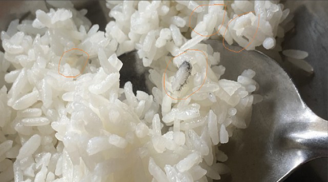 Suất ăn bán trú của học sinh có cơm mốc, nhà trường nói gì? - Ảnh 1. Suất ăn bán trú của học sinh có cơm mốc,ấtănbántrúcủahọcsinhcócơmmốcnhàtrườngnóigì<strong>email</strong> nhà trường nói gì? - Ảnh 1.