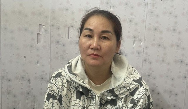 Hải Dương: Khởi tố cụ bà 79 tuổi vì trộm cắp tài sản với 13 tiền án - Ảnh 2.