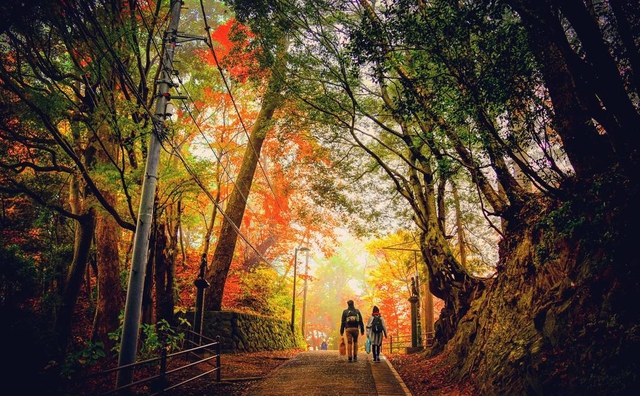 Ngắm mùa lá đỏ vô cùng lãng mạn ở 4 địa điểm đẹp nhất Nhật Bản - Ảnh 2.