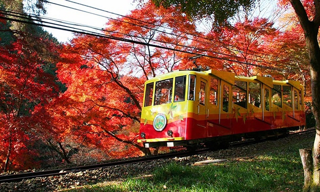 Ngắm mùa lá đỏ vô cùng lãng mạn ở 4 địa điểm đẹp nhất Nhật Bản - Ảnh 3.