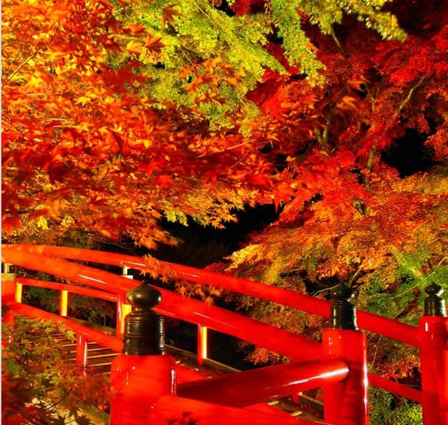 Ngắm mùa lá đỏ vô cùng lãng mạn ở 4 địa điểm đẹp nhất Nhật Bản - Ảnh 8.