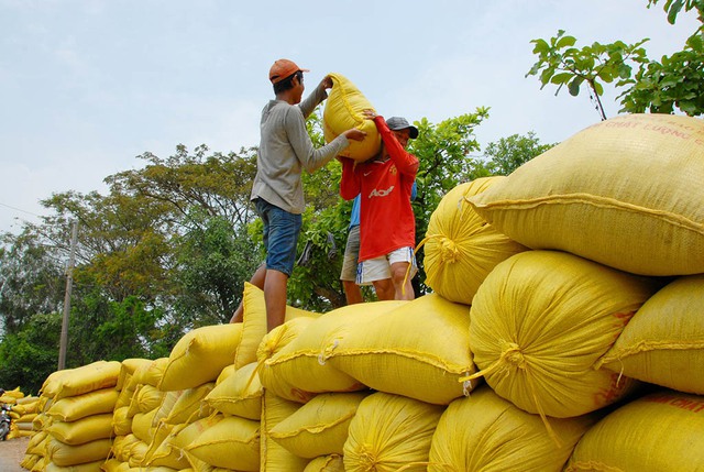 Xuất khẩu gạo vượt kỷ lục 34 năm - Ảnh 1. Xuất khẩu gạo vượt kỷ lục 34 năm - Ảnh 1.