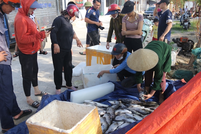 Hà Tĩnh: Hơn 50 tấn cá nuôi chết trắng lồng bè do bị sốc nước - Ảnh 3.